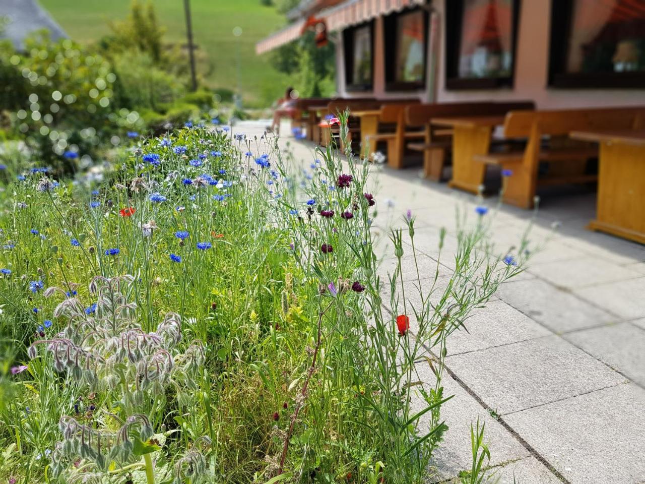 Hotel Landhaus Sonnenhof 托特瑙 外观 照片